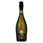 Ponte Villoni Prosecco Spumante 750ml